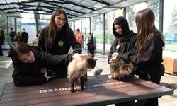 Gençerlerden patili canlara ziyaret