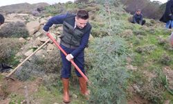 Gökçeada'da fidanlar toprakla buluştu