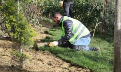 Kağıthane'de yeşil alanlarda bakım ve düzenleme çalışmaları sürüyor