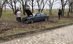 Kontrolden çıkan otomobil ağaçlık alana daldı: 1 yaralı