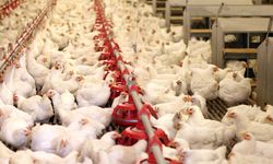 Bir dönemin ihracat şampiyonuydu: 40 yıllık marka icradan satışa çıkarıldı