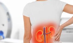 Çevresel faktörler kronik böbrek hastalığı riskini artırıyor