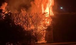 Bursa İnegöl Botanik Parkta alevler yükseldi