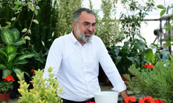 Süs bitkileri üretimi Kestel Belediyesi ile dünya pazarına açılıyor