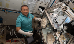 Türk bilim insanlarından uzayda önemli keşif: 7 yeni gen bulundu