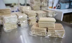 Günde 10 ton üretim yapıyordu: Gofret devi iflas etti