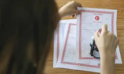 Tapu, hobi bahçesi ve alkol satışına yeni düzenlemeler geliyor: Hobi bahçesine abonelik yasağı