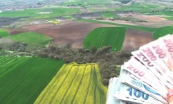 Tarım Arazilerinin Değeri Artıyor! %75 Hibe Desteği İle Yenilikçi Adımlar Attı