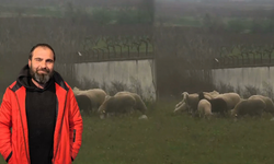 Sesiyle büyülemişti! İnegöllü çoban konuştu