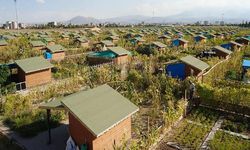 Tarım Arazilerindeki İzinsiz Hobi Bahçelerine Metrekare Başına Ceza Kesilecek