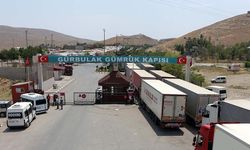 Bakan Bolat duyurdu: Üç gümrükte yolcu geçişi durduruldu