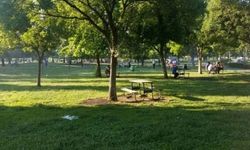 Bursa Hamitler Mesire Alanı, 3 ay kapalı kalacak