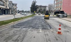 Başkan Taban'dan Büyükşehir'e sert tepki "Yazıklar Olsun"