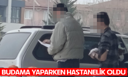 Bursa İnegöl'de budama yaparken hastanelik oldu