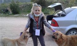 İnegöl Kent Konseyi’nden Sokak Hayvanları Günü Mesajı