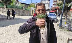 Zuzubak otunu bulan köşeyi dönüyor!