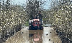 Bursa Gürsu'da yüzlerce dönüm şeftali ve armut bahçesi su altında