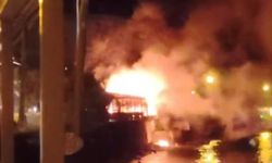 Bursa'nın Gemlik ilçesi  Kurşunlu Sahili'nde gece yarısı yangın paniği