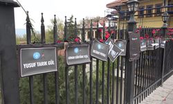 Bursa'da Setbaşı Köprüsü karanfillerle donatıldı