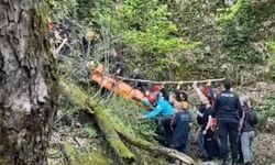 Bursa Yıldırım'da kalp krizi geçirip dereye düştü