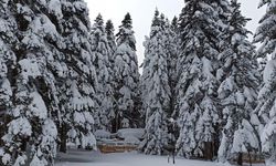 Uludağ’da kış geri dönüyor | Mayısta kar sürprizi yaşanacak