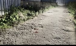 Bursa Gürsu'da depoya silahlı saldırı | Avukat hayatını kaybetti, kardeşi yaralandı