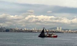 Av mevsiminin son gülerinde istavrit bolluğu