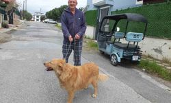 Burhaniyeli emlakçının hayvan sevgisi takdir topladı