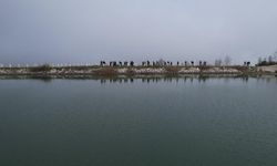 Doğaseverler Mysia Yolları'nın izinde