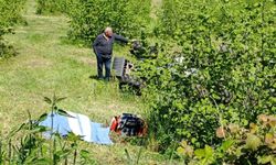 Emekli polis devrilen traktörün altında can verdi