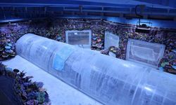 Kocaeli'de su altında dünya turu başlıyor: 30 farklı akvaryumla eşsiz gezi