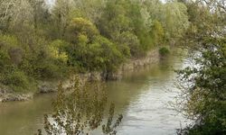Sakarya Nehri'ne düşen çocuk didik didik aranıyor