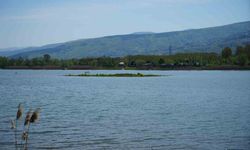 Sapanca Gölü çekildi: Gizemli ada yeniden ortaya çıktı