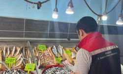 Tekirdağ'da su ürünleri denetimi