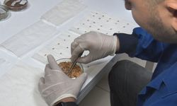 İran gerilimi sonrası gözler gıda güvenliğine çevrildi