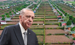 Cumhurbaşkanı Erdoğan'dan hobi bahçeleri talimatı