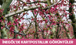 Bursa İnegöl'de kartpostallık görüntüler