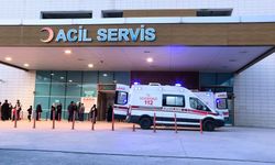 Bursa İnegöl'de ot yiyen kadın yaşam mücadelesi veriyor