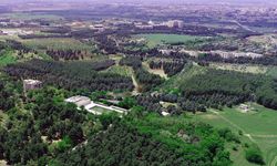 Dicle Üniversitesi'nin kampüsünde petrol bulundu!