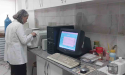 Türk profesörlerin yürüttüğü Sodyum-iyon batarya projesinde laboratuvar çalışmaları tamamlandı