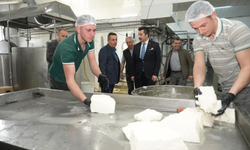 Bursa'da her gün 3,5 ton sütten 12 çeşit peynir üretiyorlar