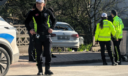 Bursa İnegöl'de sollarken bahçeye daldı