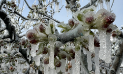 Valilik'ten İnegöl dahil 6 ilçeye flaş uyarı