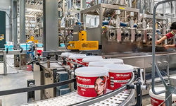 Türkiye'nin boya devi Polisan satıldı!