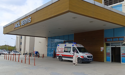 Bir anlık dikkatsizlik! Bursa İnegöl'de 1 yaşındaki çocuk zehir yuttu