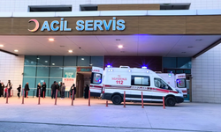 Bursa İnegöl'de ot yiyen kadından müjdeli haber