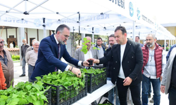 Bursa Kestel'de üreticiye 6 bin ahududu fidanı desteği