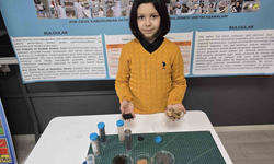 Ceviz kabuğundan yalıtım malzemesi geliştirdi, hedefinde Türkiye birinciliği var