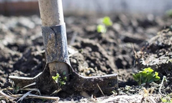 Gübrede kritik adım: 2 çeşitte gümrük vergisi sıfırlandı