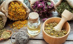 Doğal diye güvenmeyin: Bitkilerde kimyasal gerçeği